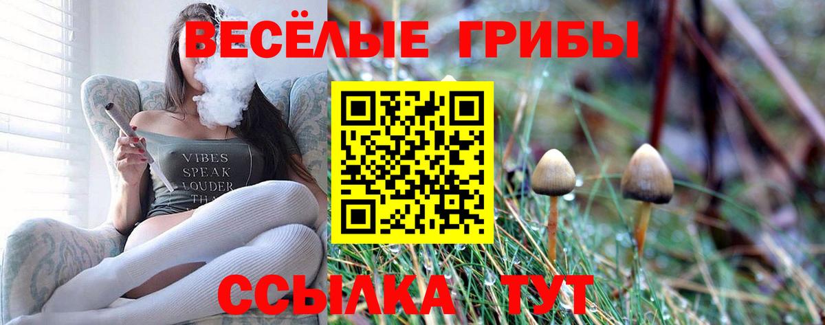 Псилоцибиновые грибы мицелий  Галлюциногенные грибы MAGIC MUSHROOMS  Вход с VPN  Армавир 