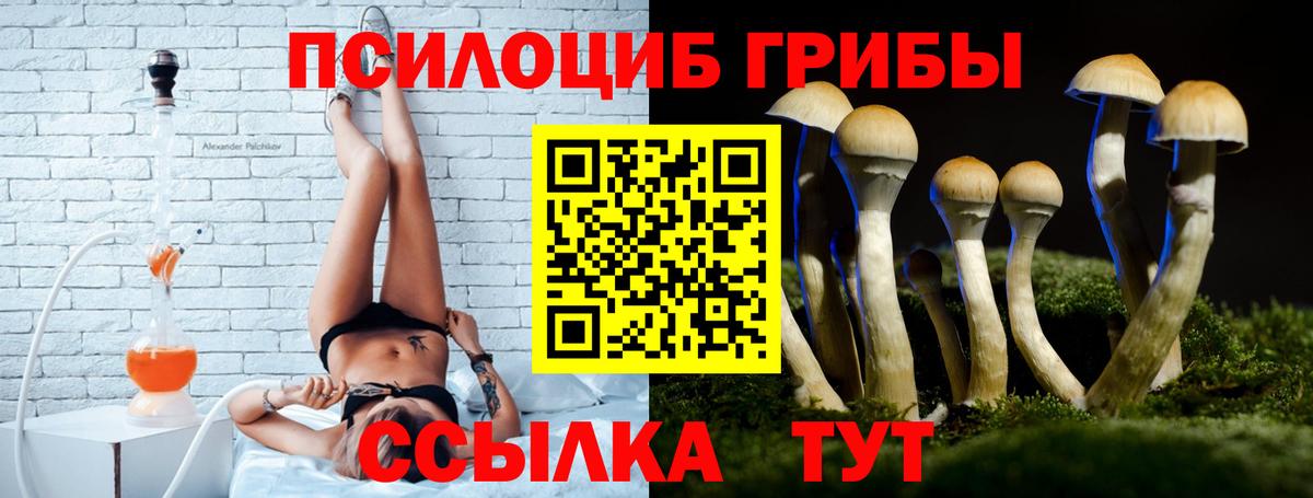 Галлюциногенные грибы прущие грибы Армавир